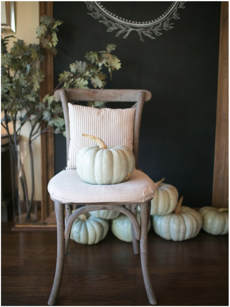 pumpkin 5